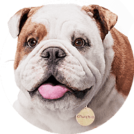 Logo Churchill Management Ltd.
