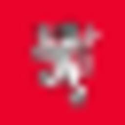 Logo Scottish Daily Record & Sunday Mail Ltd.