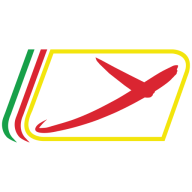 Logo Raytec Vision SpA