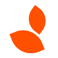 Logo Dümmen Orange