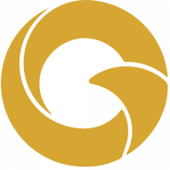Logo Golden Gate JSC