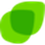 Logo VinaSecurities JSC