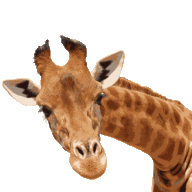 Logo Verific Design Automation, Inc.