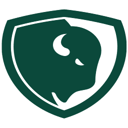 Logo Buffalo Inspection Services (2005), Inc.