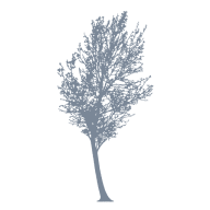 Logo Silverbirch Hotels & Resorts LP