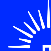Logo Juvenile Diabetes Research Foundation Ltd.