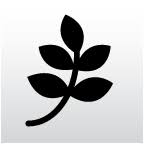 Logo Dallas Association of Young Lawyers