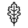 Logo Community Forest Trust