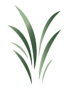 Logo Creation Investments Capital Management LLC