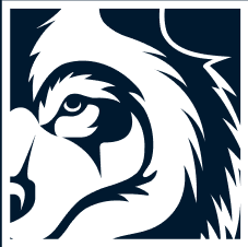 Logo Blue Wolf Capital Management LLC