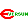 Logo Eversun Electronic Co. Ltd.