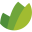 Logo Forestal Bosques Del Plata SA