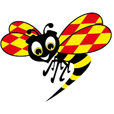 Logo Tailsweep AB