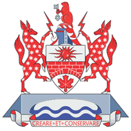 Logo The Canadian Academy of Engineering