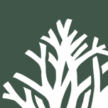 Logo LTC Partners
