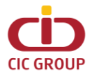 Logo CIC Insurance Group Ltd.