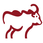 Logo Zimele Asset Management Co. Ltd.