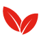 Logo Ginjer AM SAS