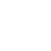 Logo International Securities LLC