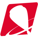 Logo Spintop Private Service AB