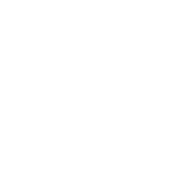 Logo TransVoyant LLC