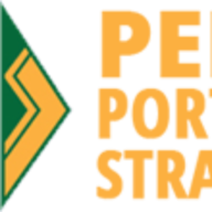 Logo Pento Portfolio Strategies LLC