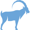 Logo IBEX Innovations Ltd.