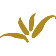 Logo Verium AG
