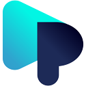 Logo Plug & Play Venture Group LLC