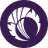 Logo Cricket Scotland Ltd.
