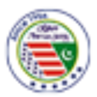 Logo Lahore American School