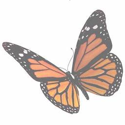 Logo Baldwin Brothers Cremation Society