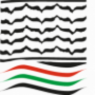 Logo Arab Palestinian Investment Co. Ltd. (Private Equity)