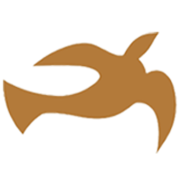 Logo Vision Capital & Management