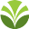 Logo Olam Food Ingredients Spain SL
