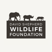 Logo The David Shepherd Wildlife Foundation
