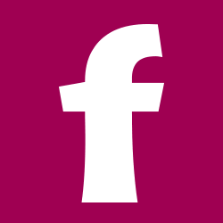 Logo Frisco SA