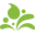 Logo Clearly Drinks Group Ltd.