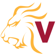 Logo VeNetWork SpA