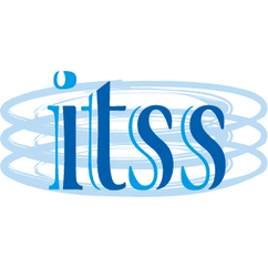 Logo IT Storage Service Corp.