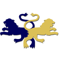 Logo Blake Willson Group LLC