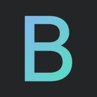 Logo Bold Management Partners LLC