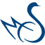 Logo Carmeuse Coordination Center SA