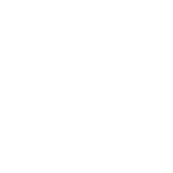 Logo Almanack Investment Partners LLC