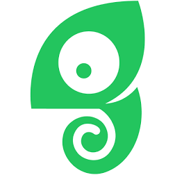 Logo Chameleon Intelligent Tech, Inc.