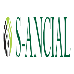 Logo S-Ancial Global Solutions Pvt Ltd.