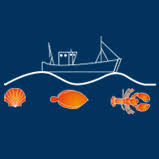 Logo Viviers d'Audierne SASU