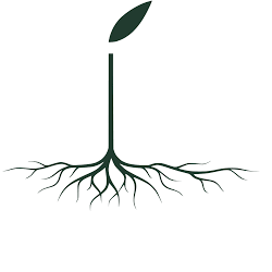 Logo Nisela Capital (Pty) Ltd.
