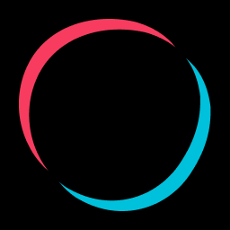 Logo Black Pearl Group Ltd.