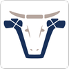 Logo Stone Axe Pastoral Co.